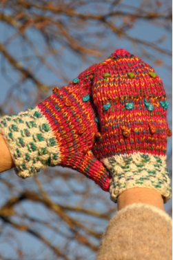 Moufles cordillère des Andes