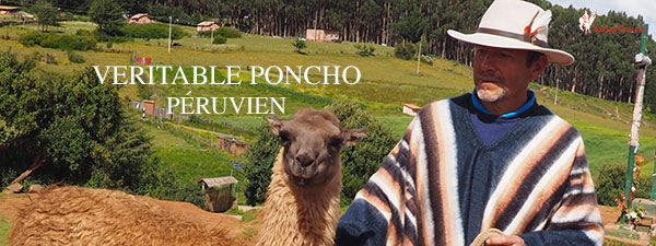 Poncho-bleu-marine-laine-alpaga